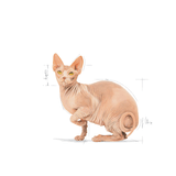 FBN SPHYNX - GATO.png